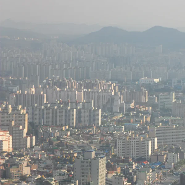 로열 하린룸 테라피 대표 안내 이미지