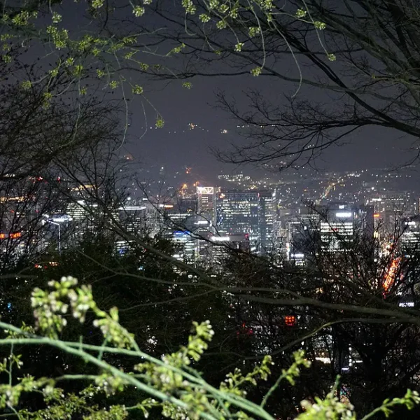 스테이 로제웰빙 테라피 대표 안내 이미지