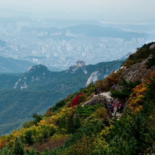 포레스트 리사센터 홈타이 대표 안내 이미지